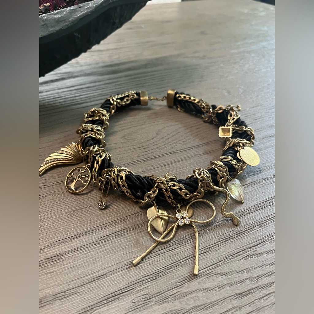 Rachel Roy Charm Rope Necklace 30$